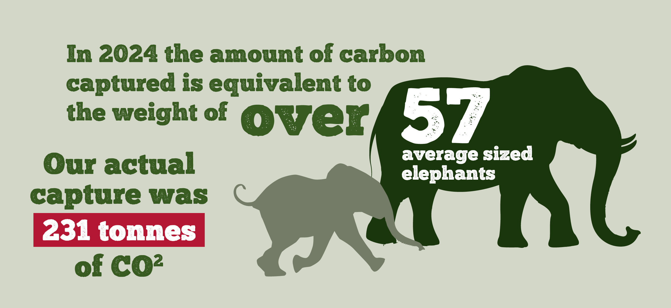 Tree Planting to Capture Carbon