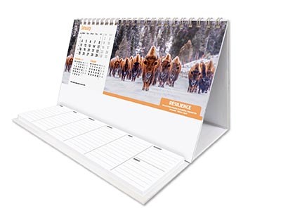 Ethos Task Station Desk Calendar