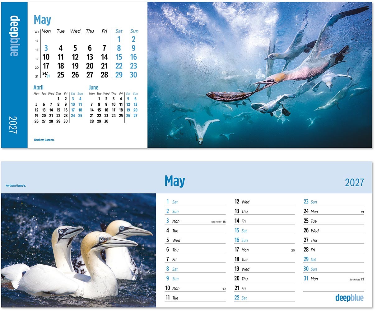 Deep Blue Task Station Desk Calendar