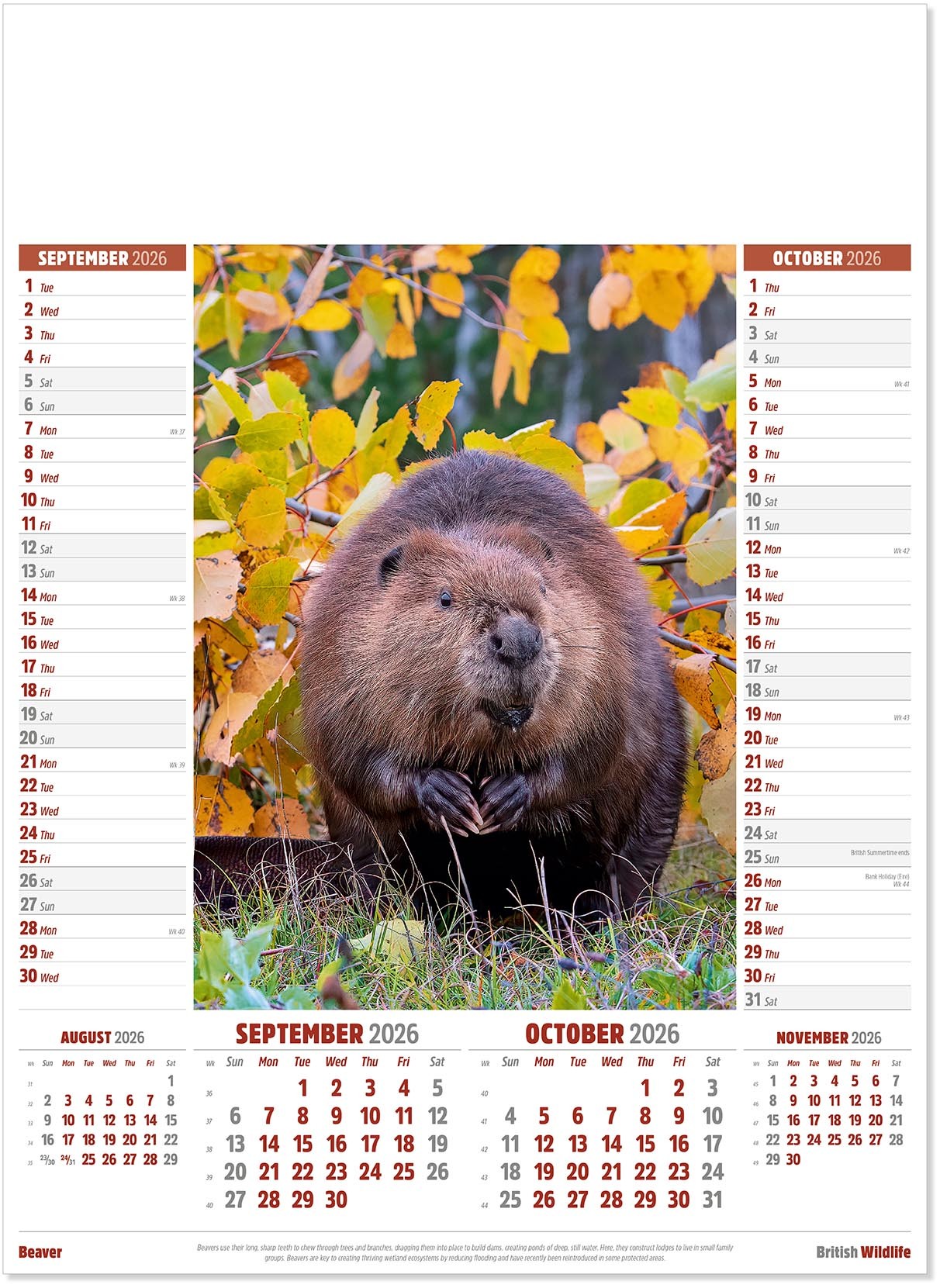 British Wildlife Calendar