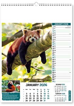 Natural World Wall Calendar