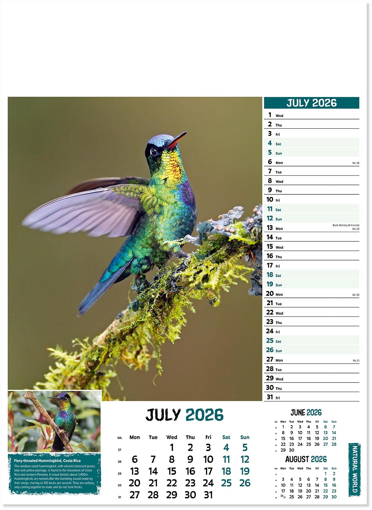 Natural World Wall Calendar