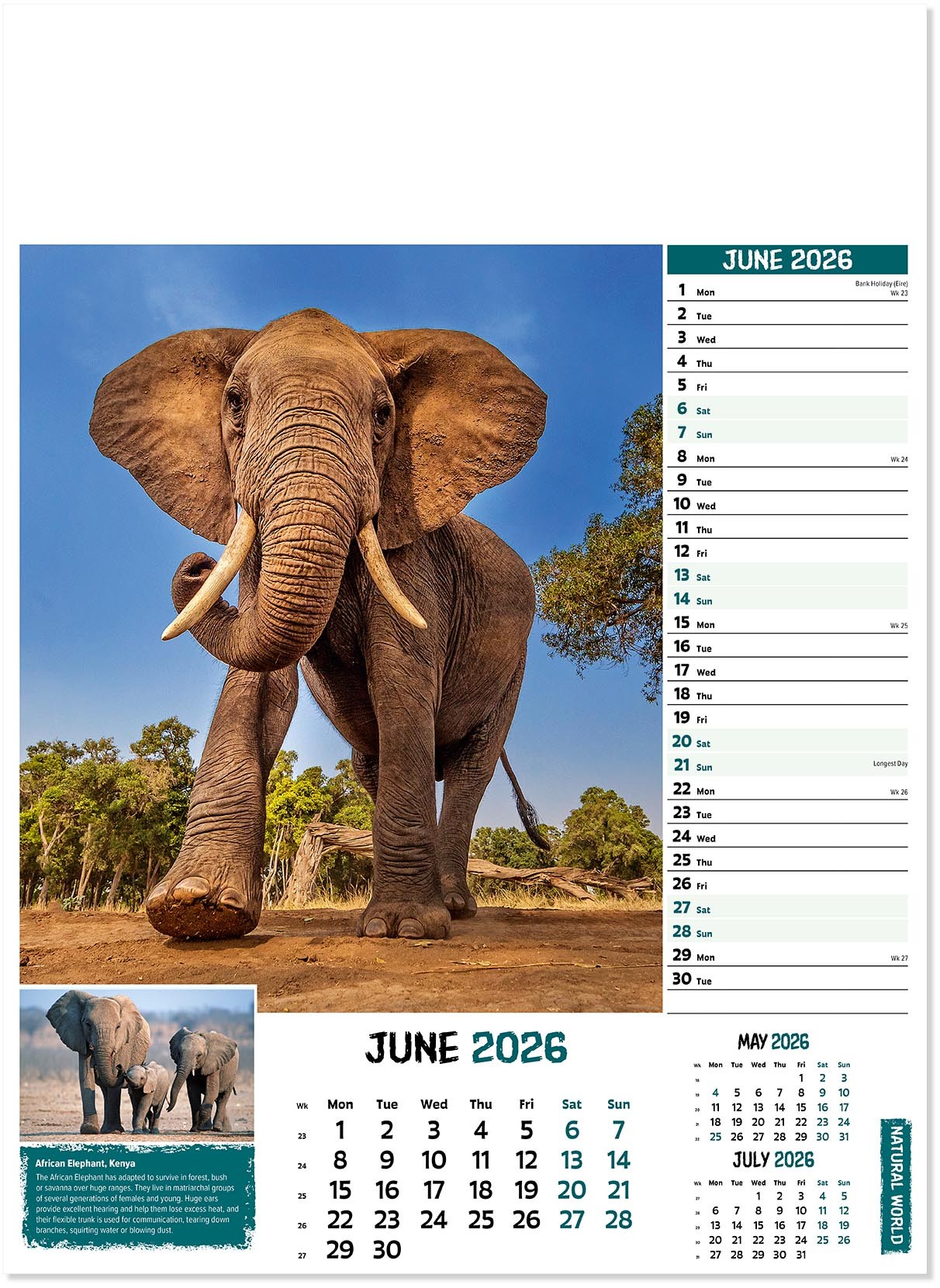 Natural World Wall Calendar