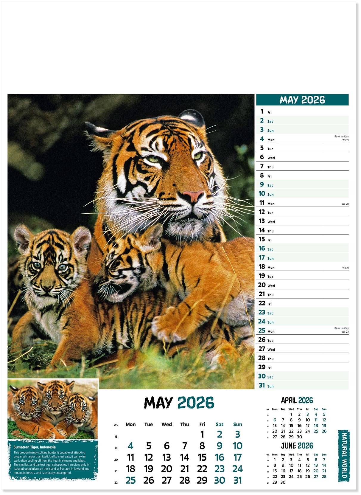 Natural World Wall Calendar