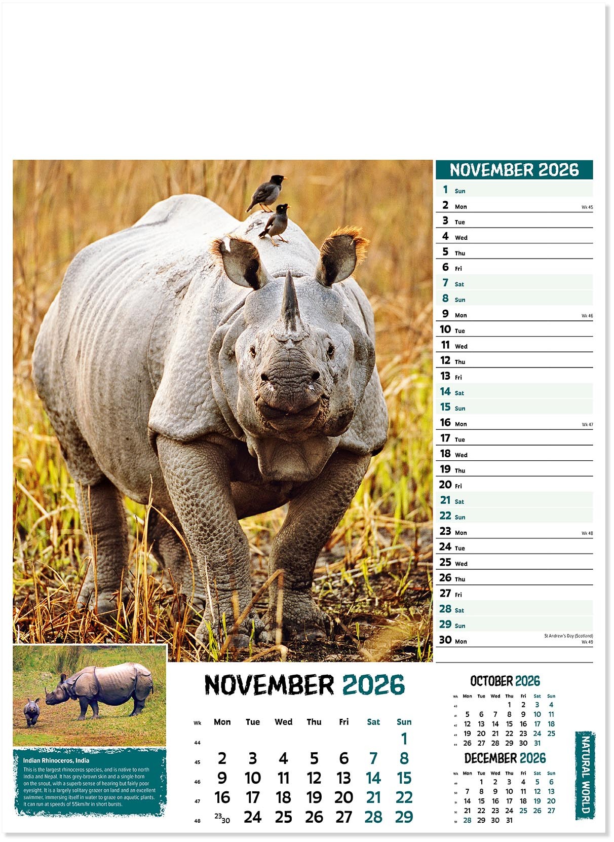 Natural World Wall Calendar