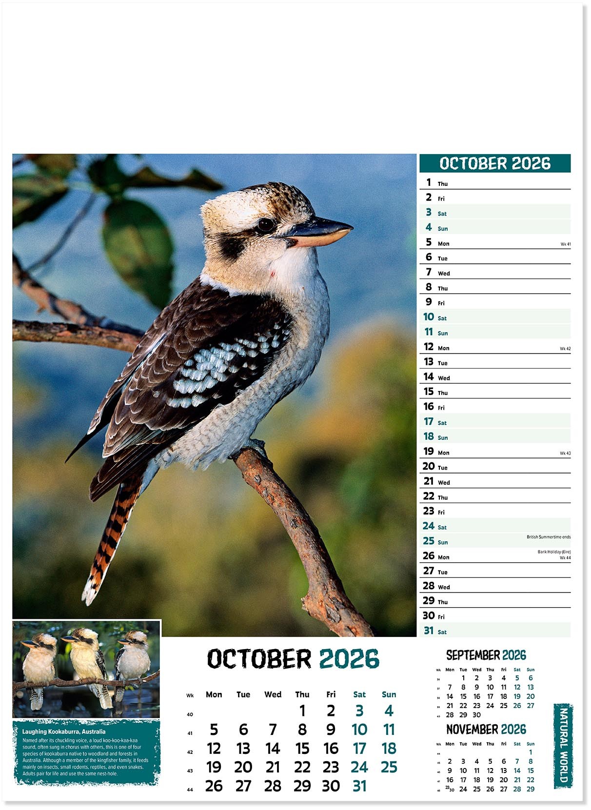 Natural World Wall Calendar
