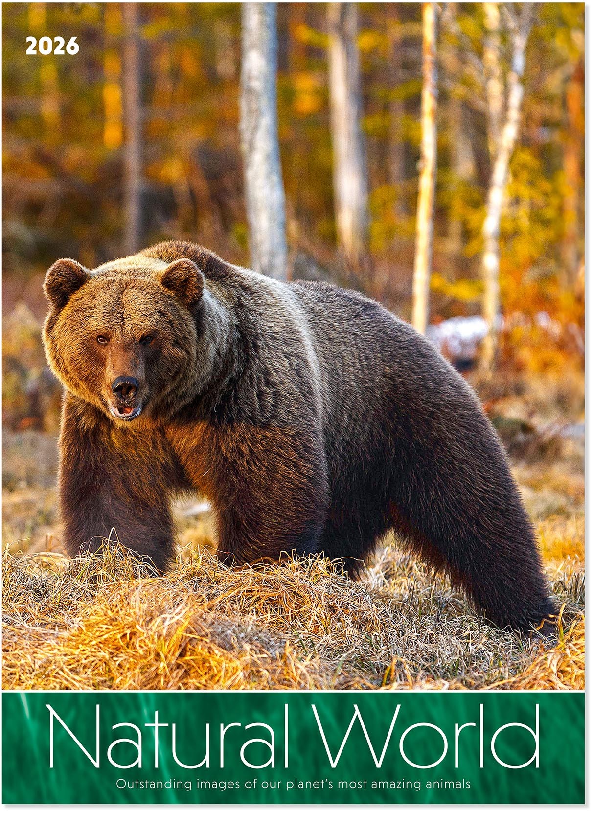 Natural World Wall Calendar