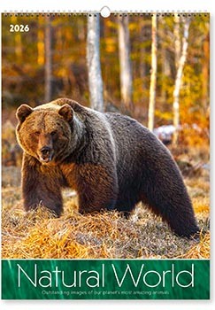 Natural World Wall Calendar